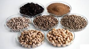 Feed product 2